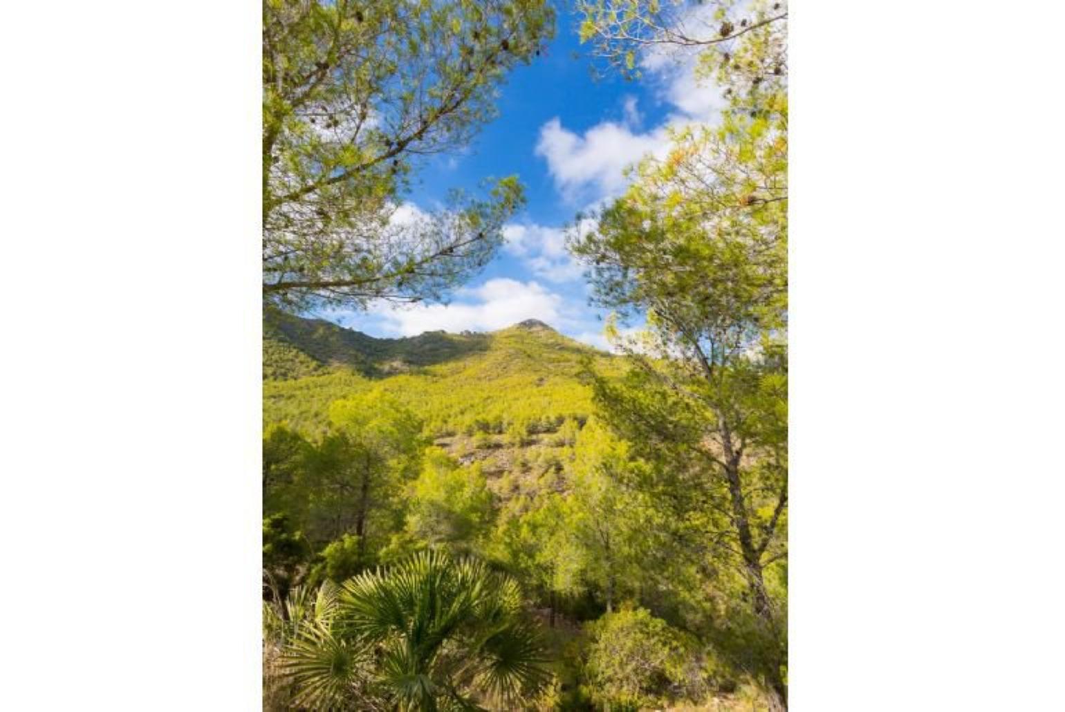 Tejeda National Park