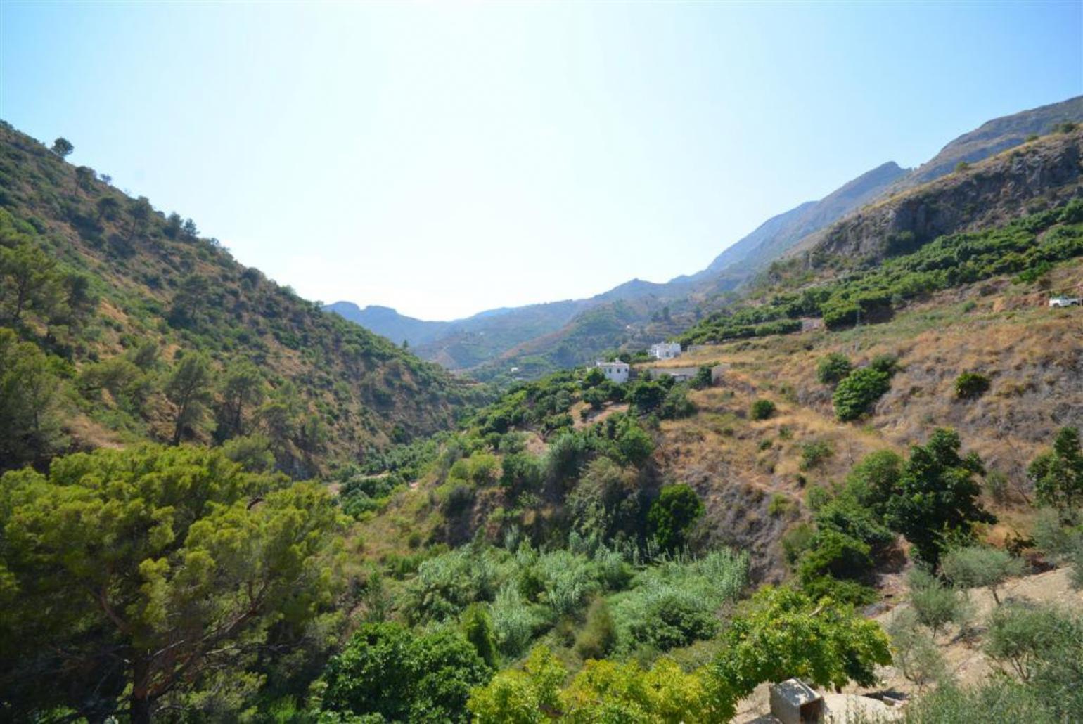 Local area