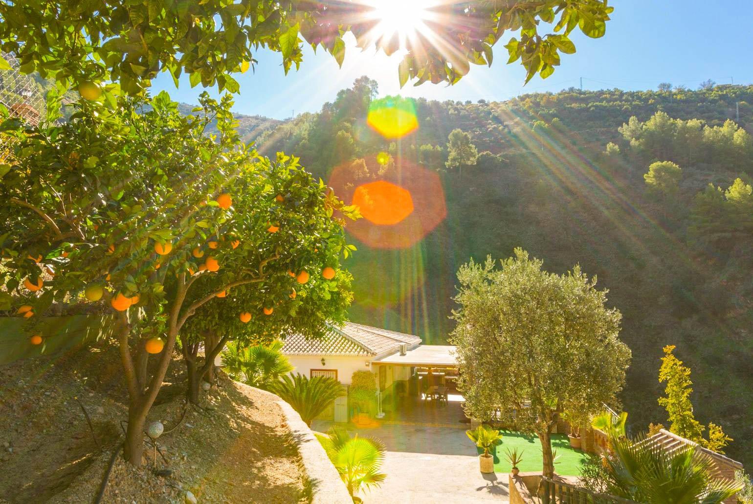 View of the villa 