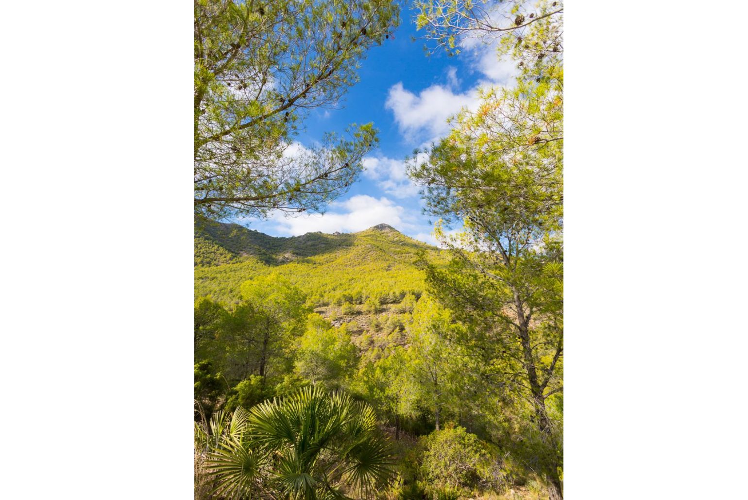 Tejeda National Park