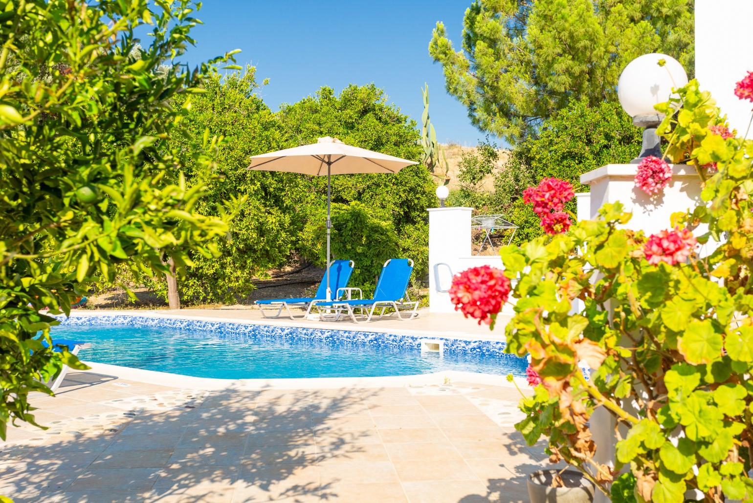 Private pool and terrace