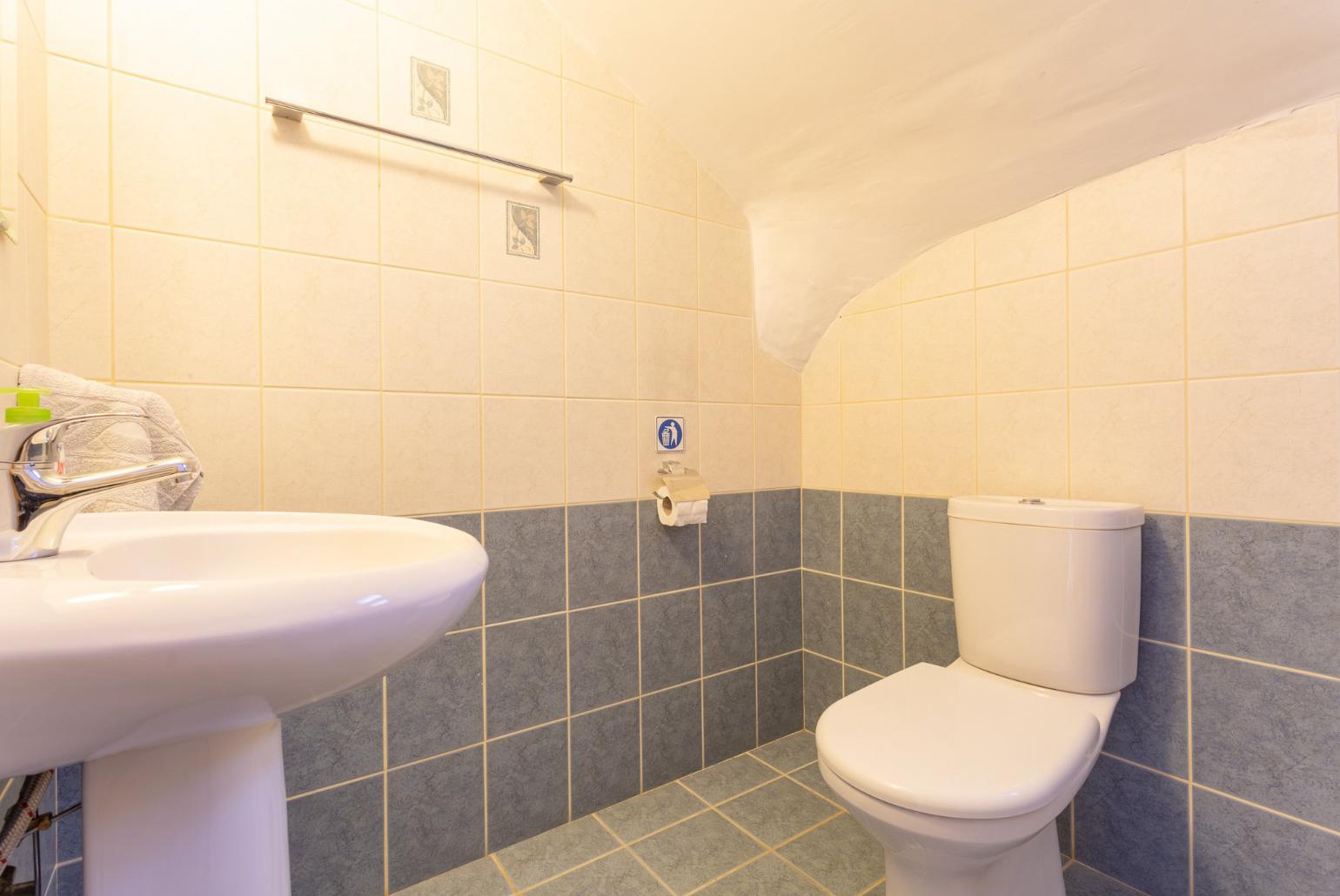 Family bathroom with overhead shower