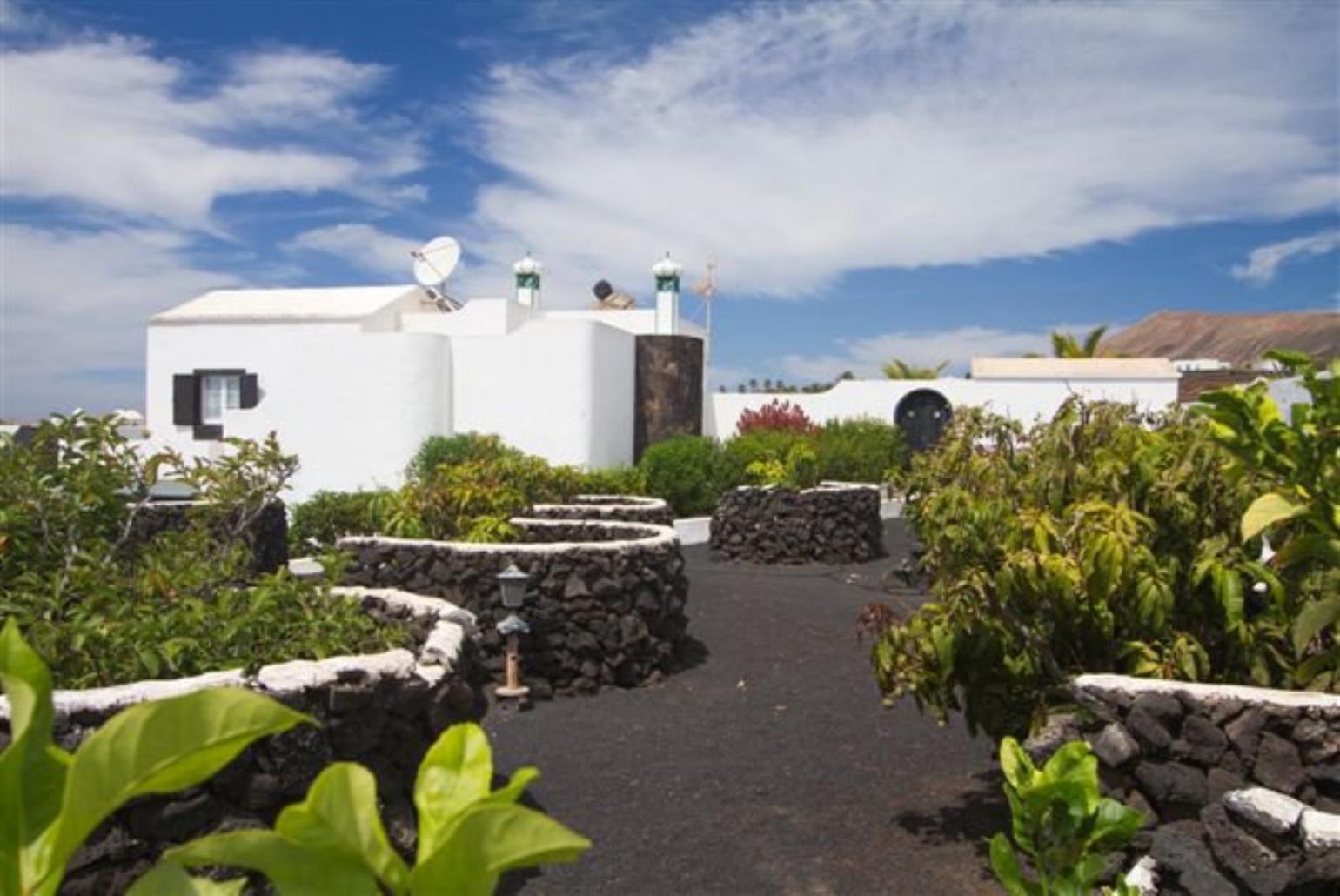 Garden area