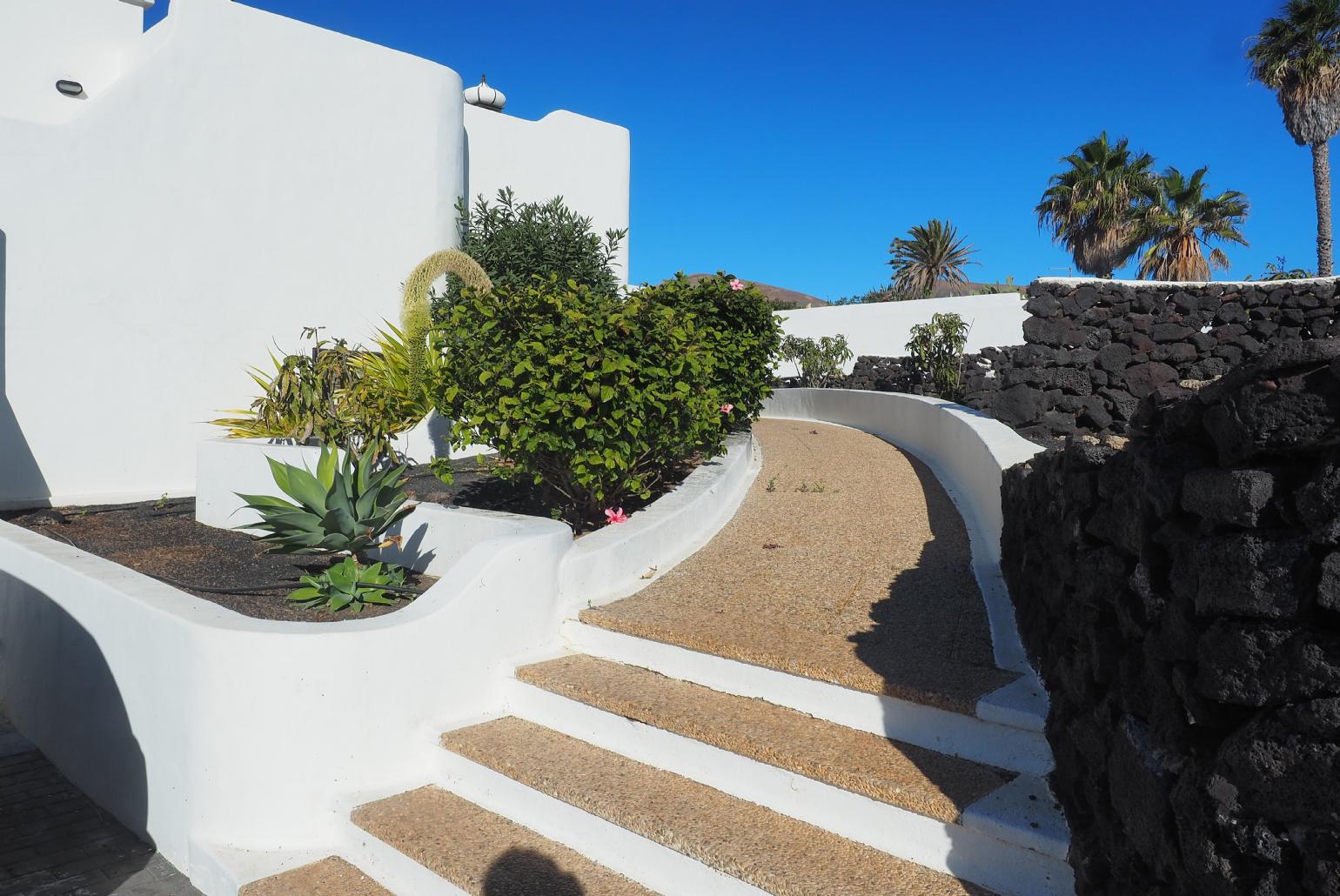 Garden area