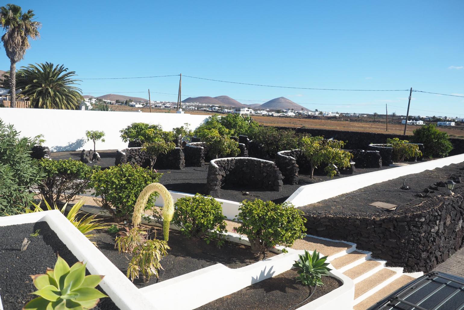 Garden area