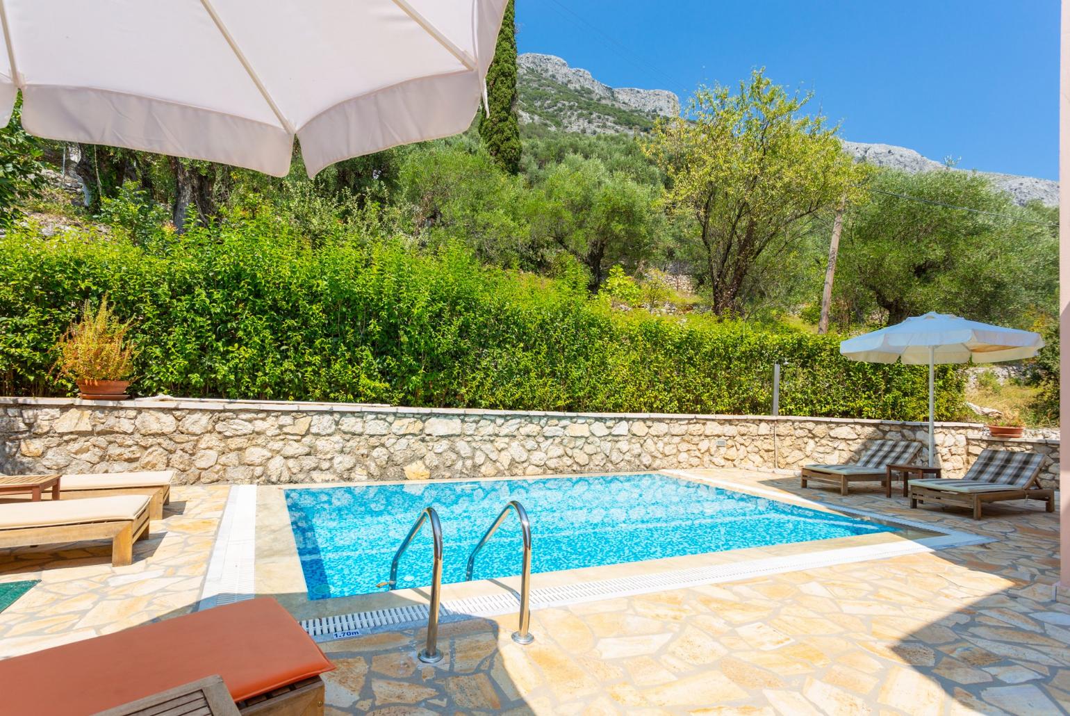 Private pool and terrace