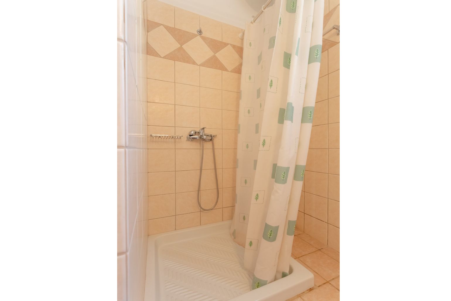 En suite bathroom with overhead shower