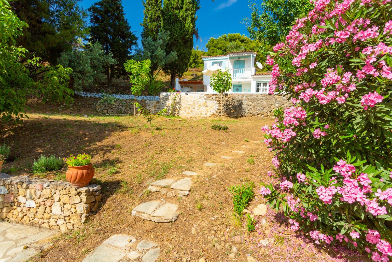 Path between villa and pool