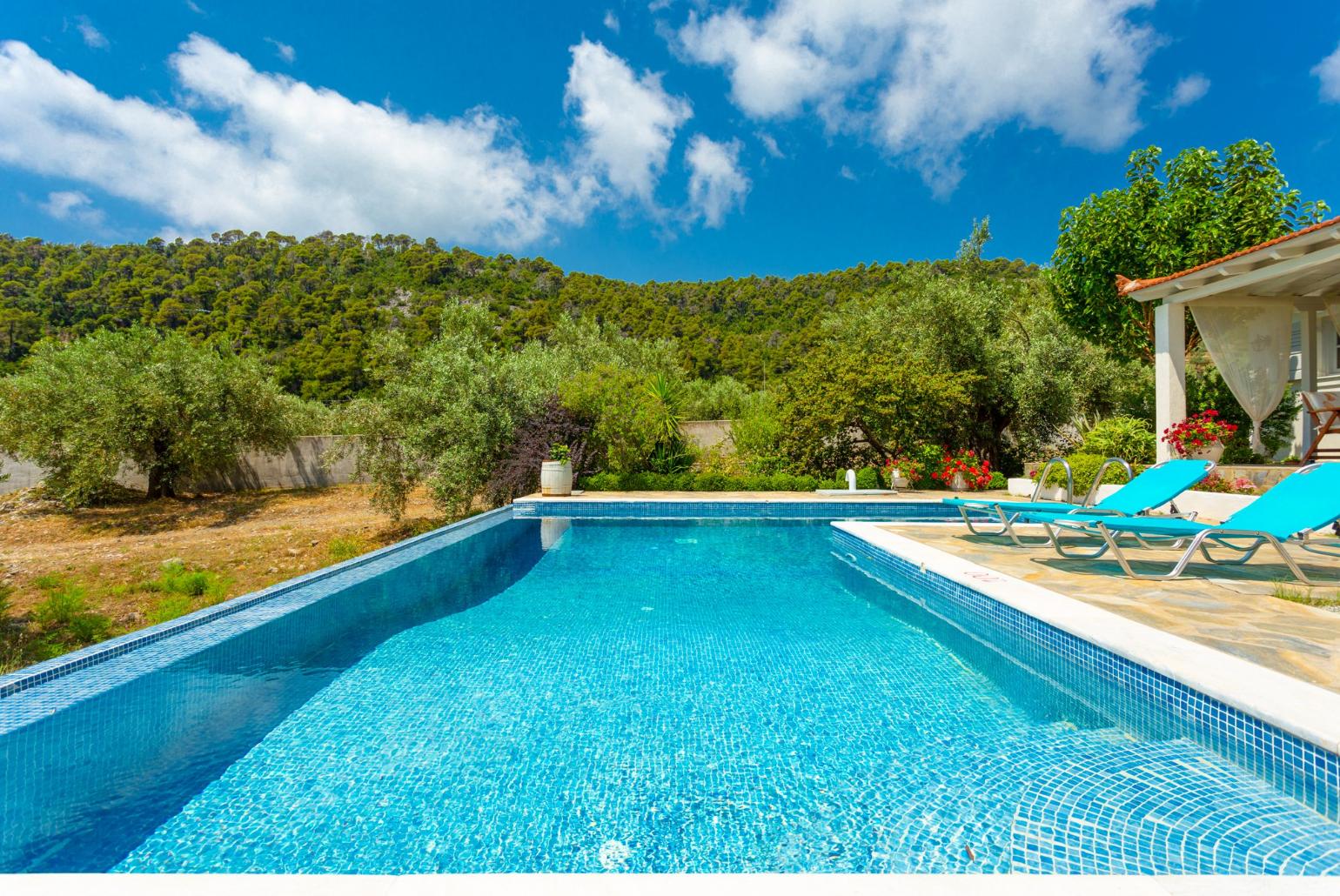 Private pool and terrace