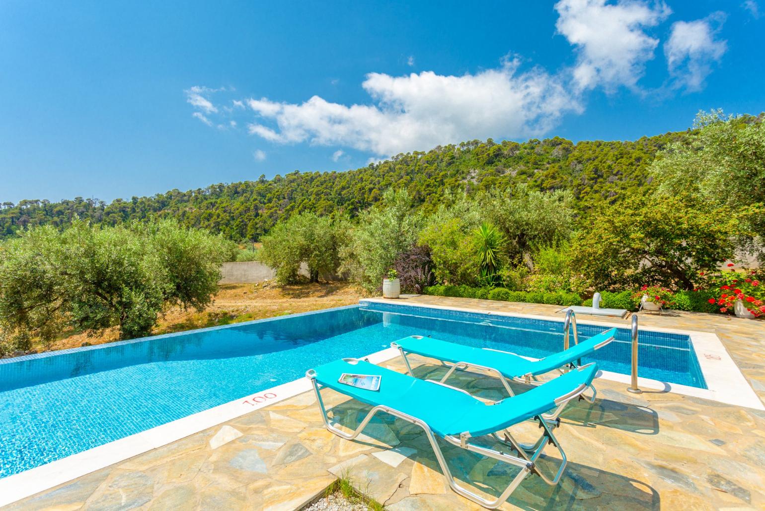 Private pool and terrace