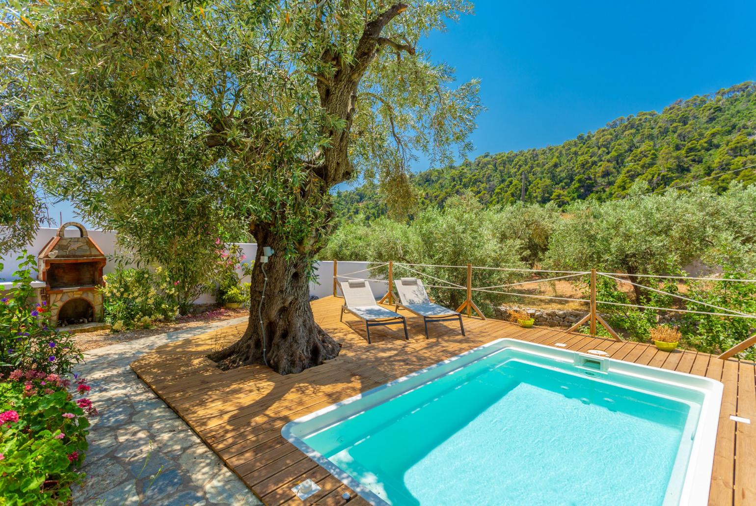,Private pool and terrace