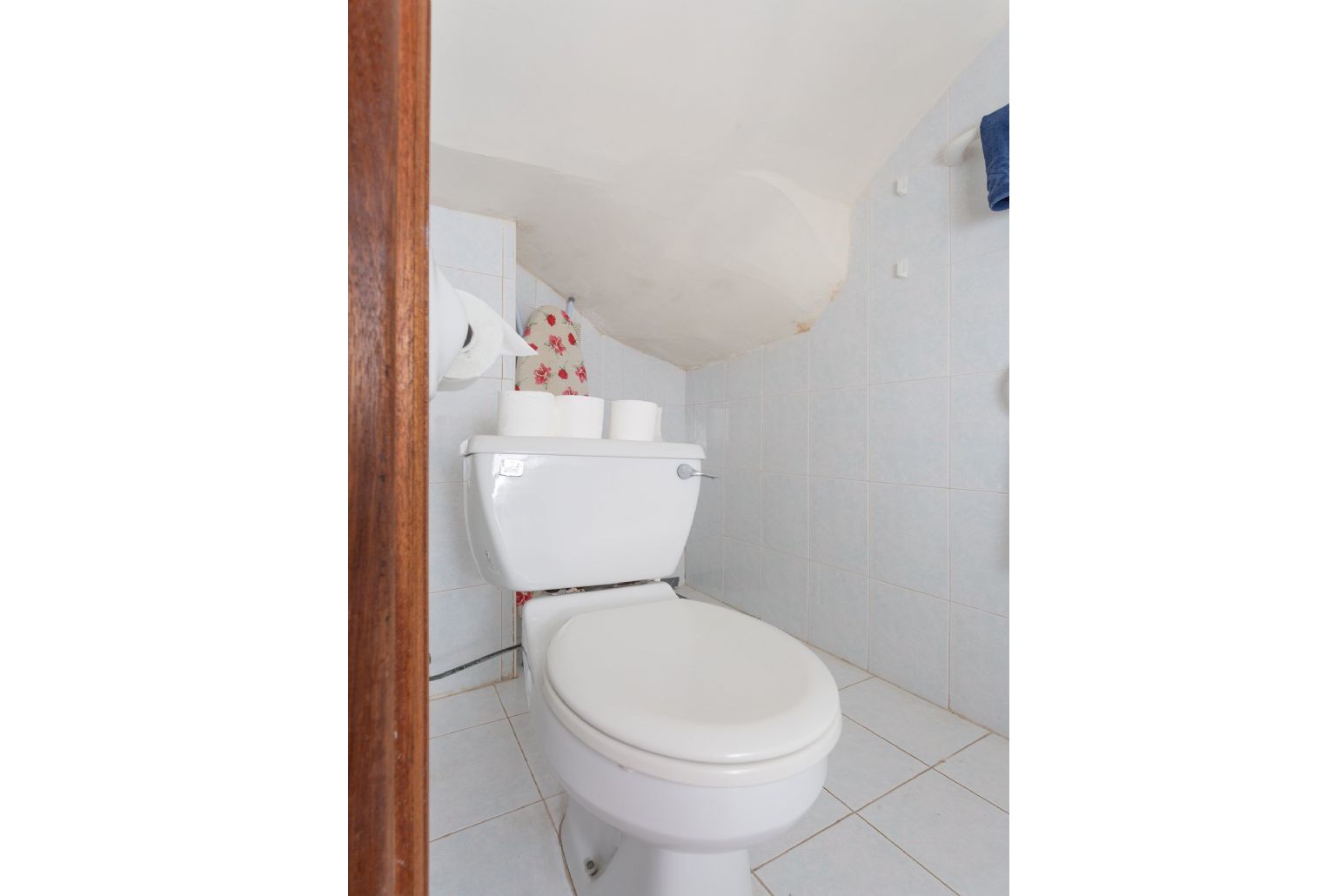 Family bathroom with overhead shower