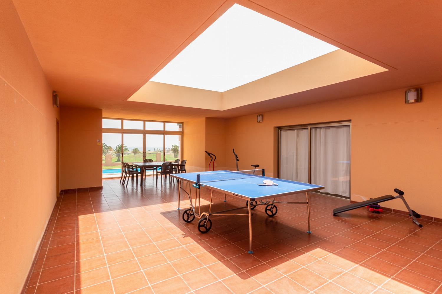 Ping pong table and gym area