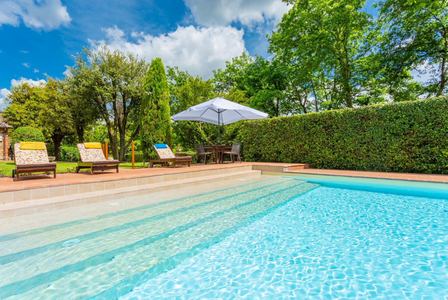 Private pool, terrace, and garden 