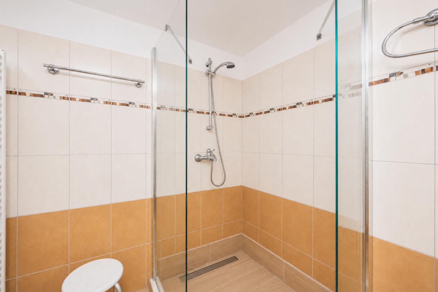 Ground floor unit: family bathroom with shower