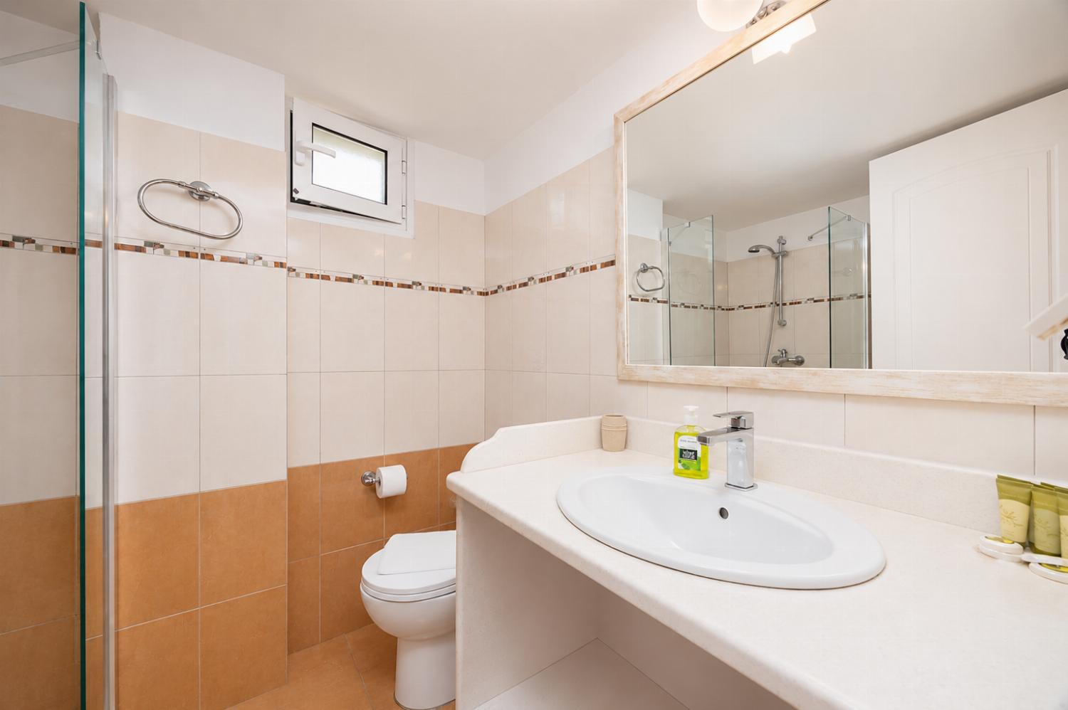 Ground floor unit: family bathroom with shower