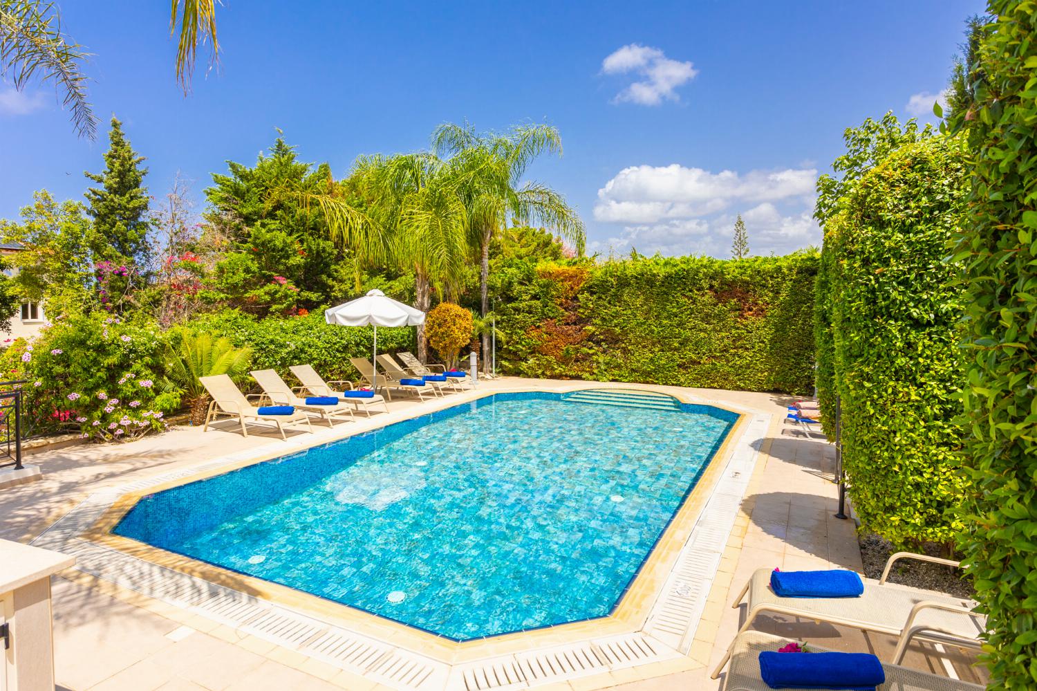 Private pool and terrace 