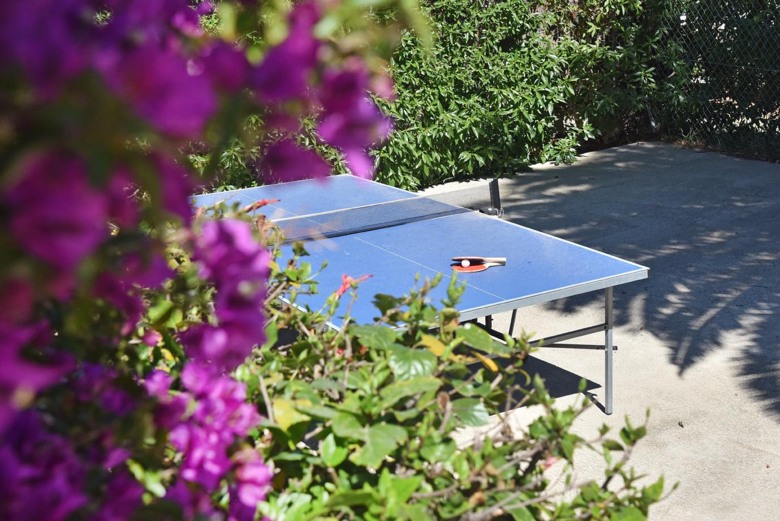 Terrace area with table tennis