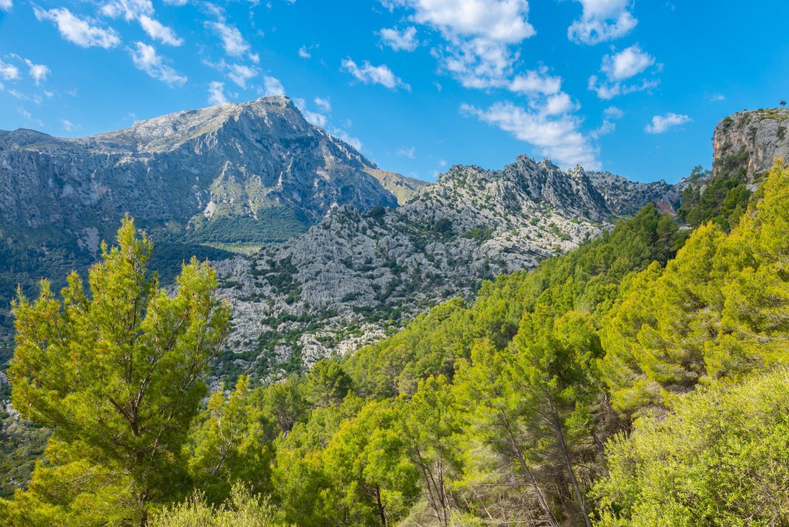 West coast mountains