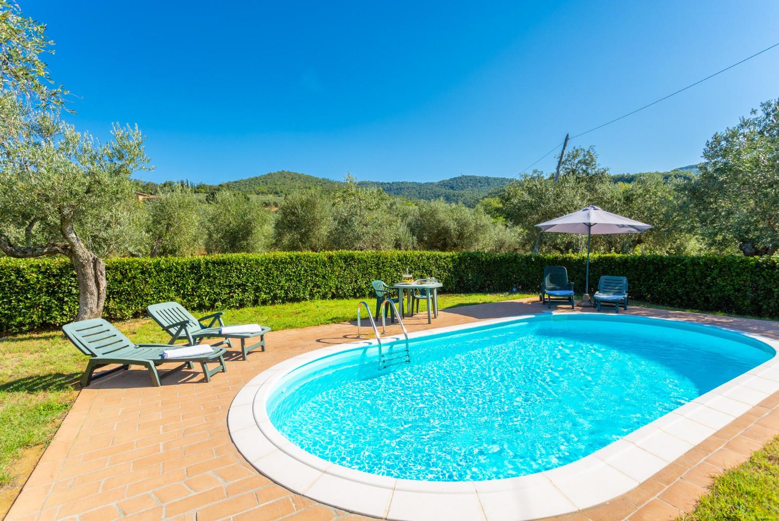 Private pool, terrace, and garden