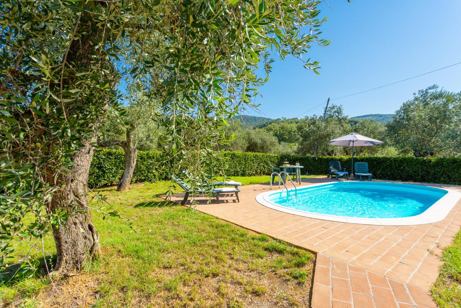 Private pool, terrace, and garden