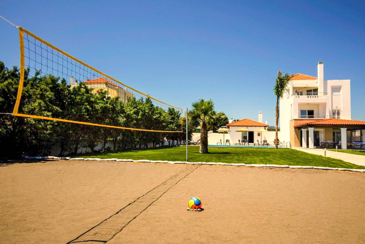 Volleyball court