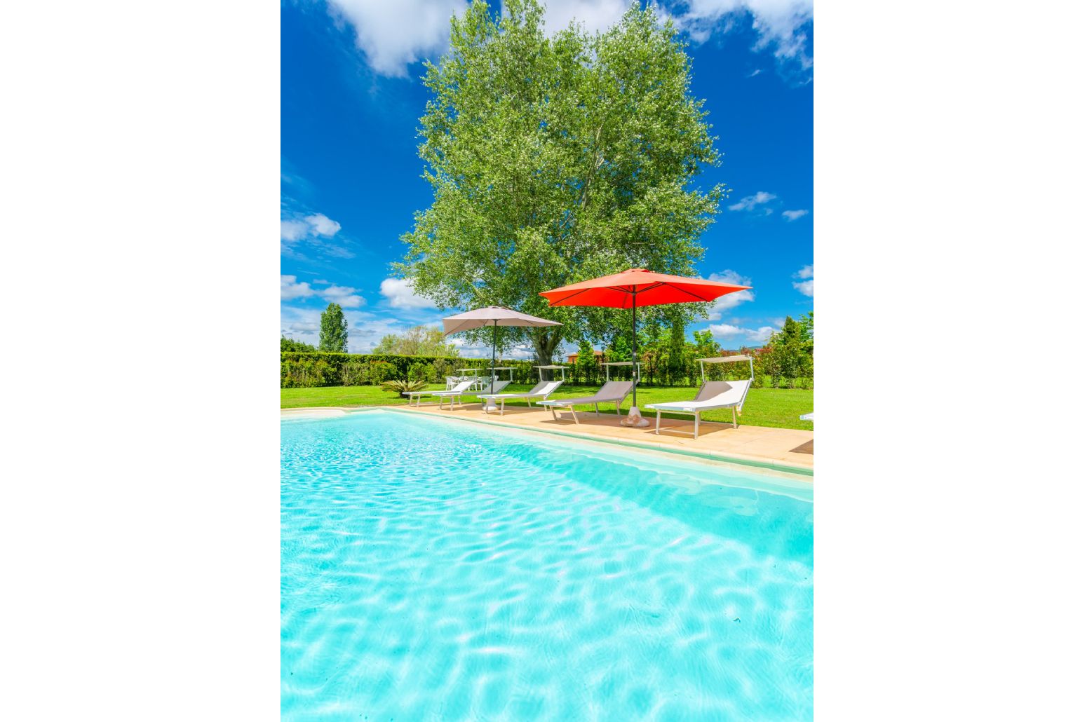 Private pool, terrace, and garden