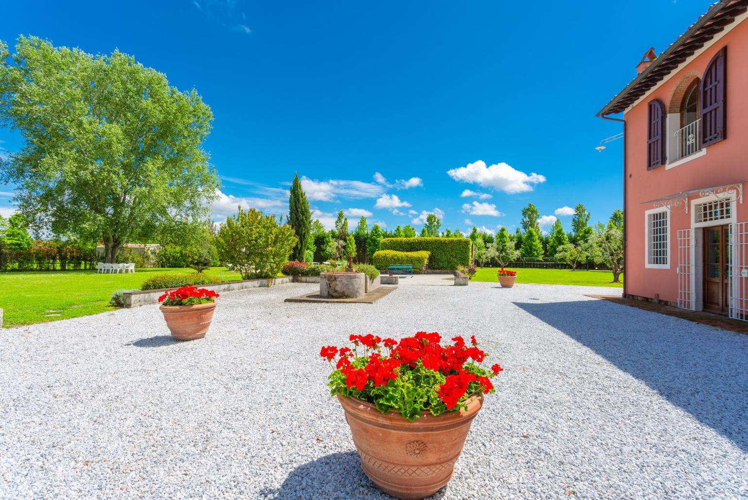 Terrace area