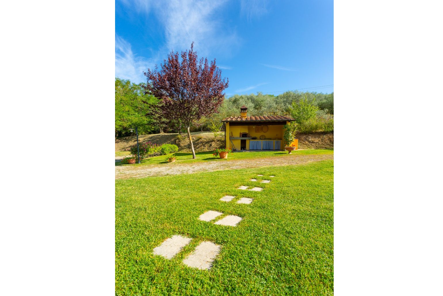 Garden area with BBQ