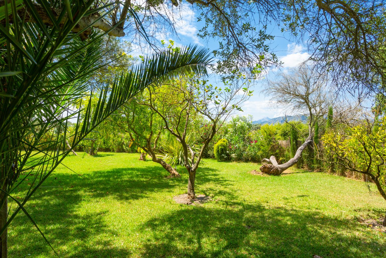 Garden area