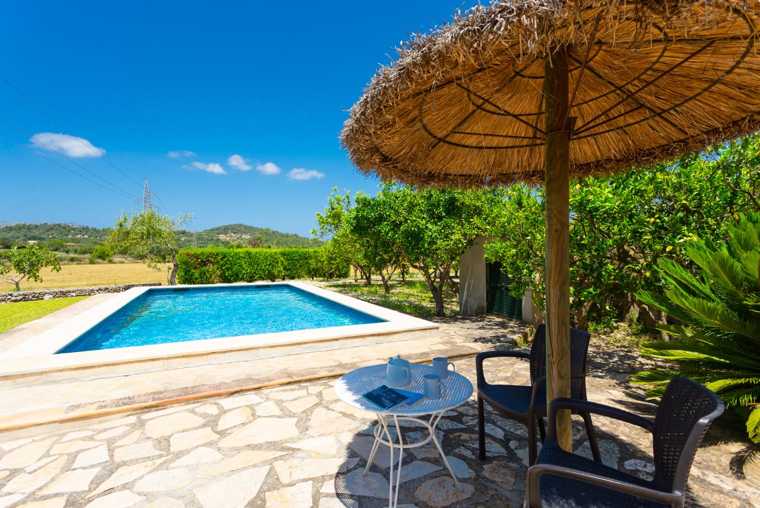 Private pool, terrace, and garden