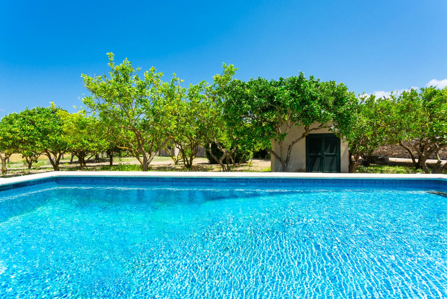 Private pool, terrace, and garden