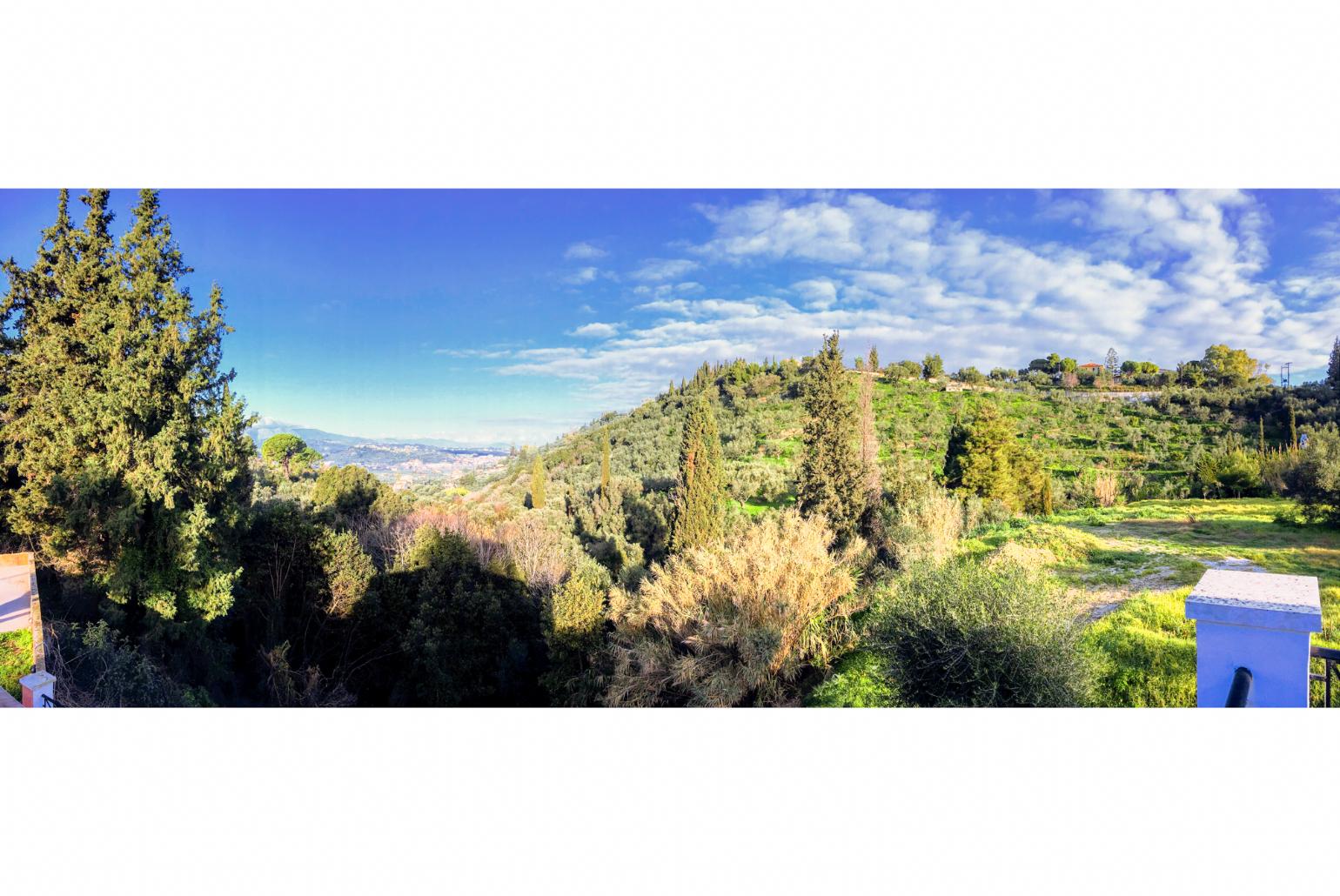 View from terrace