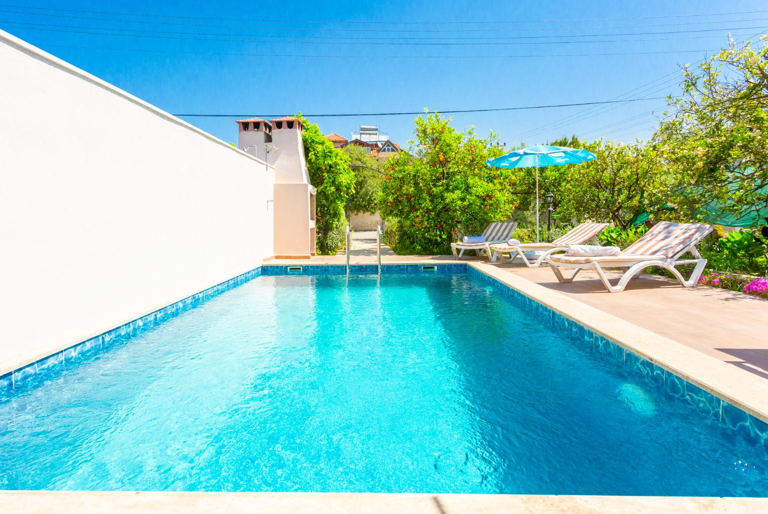 Private pool, terrace, and garden