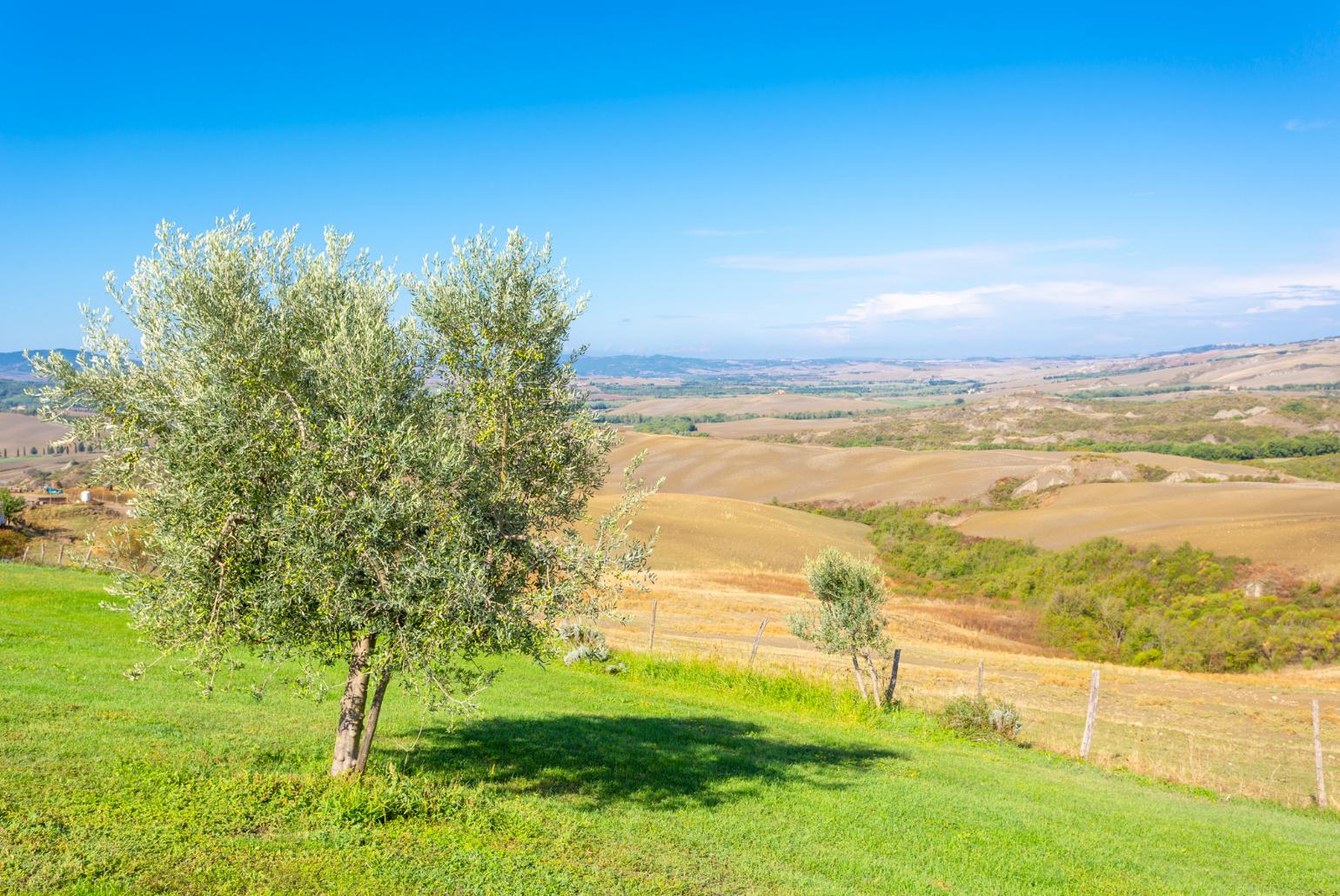 View from villa