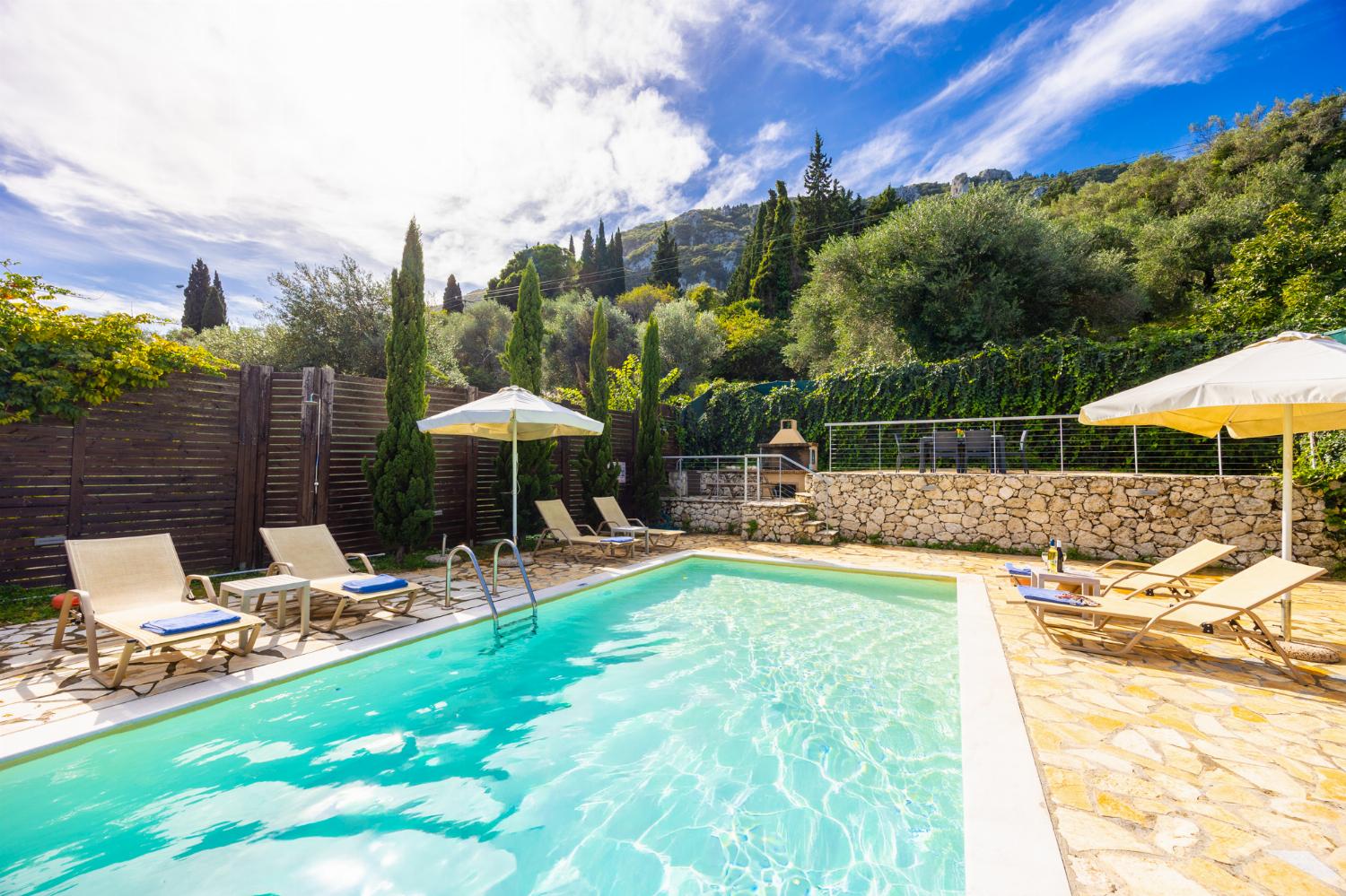 Private pool and terrace with sea views