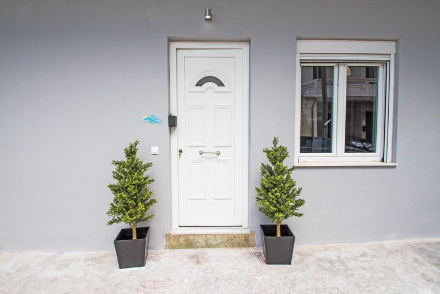 Entrance of the Apartment 