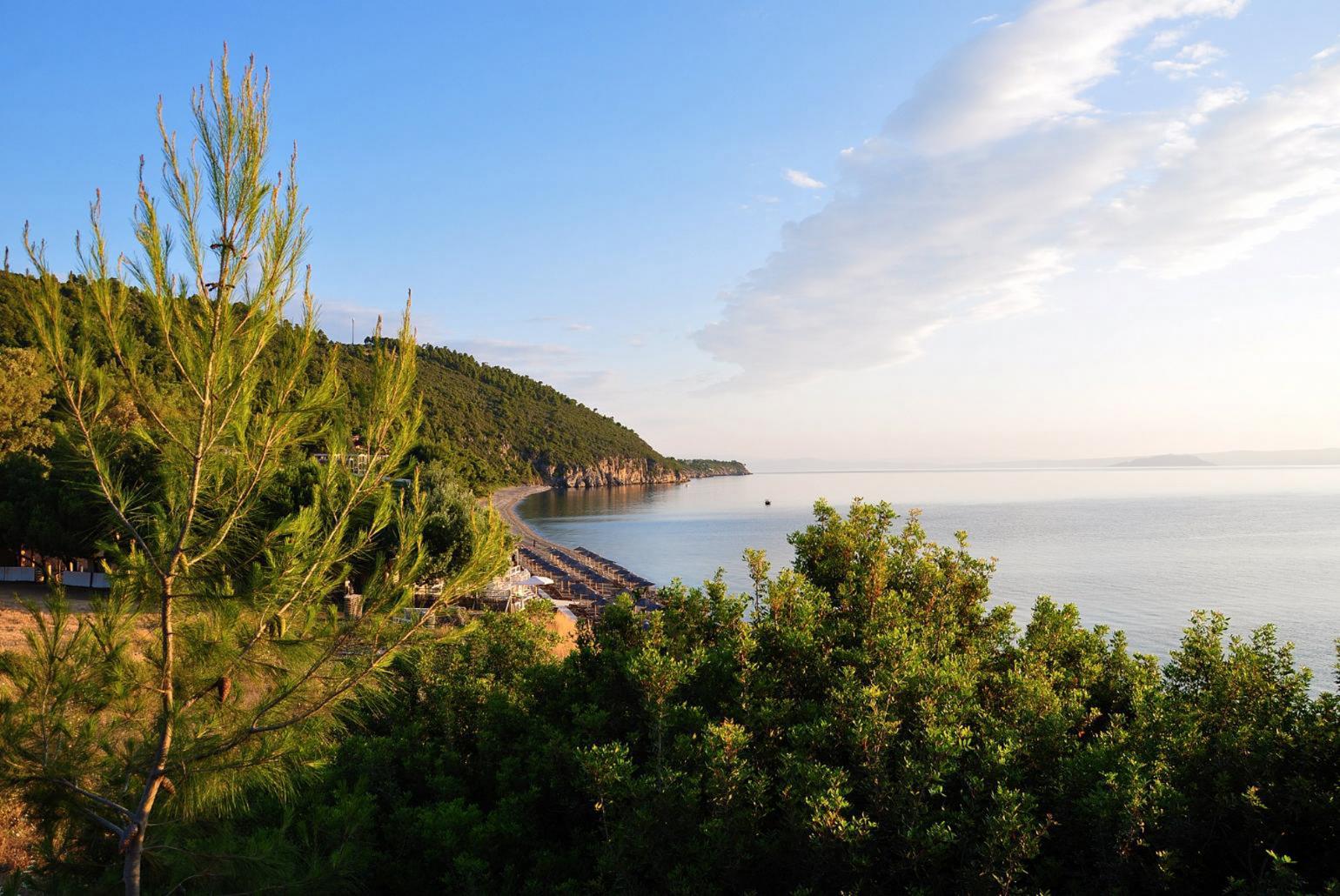 Local beach