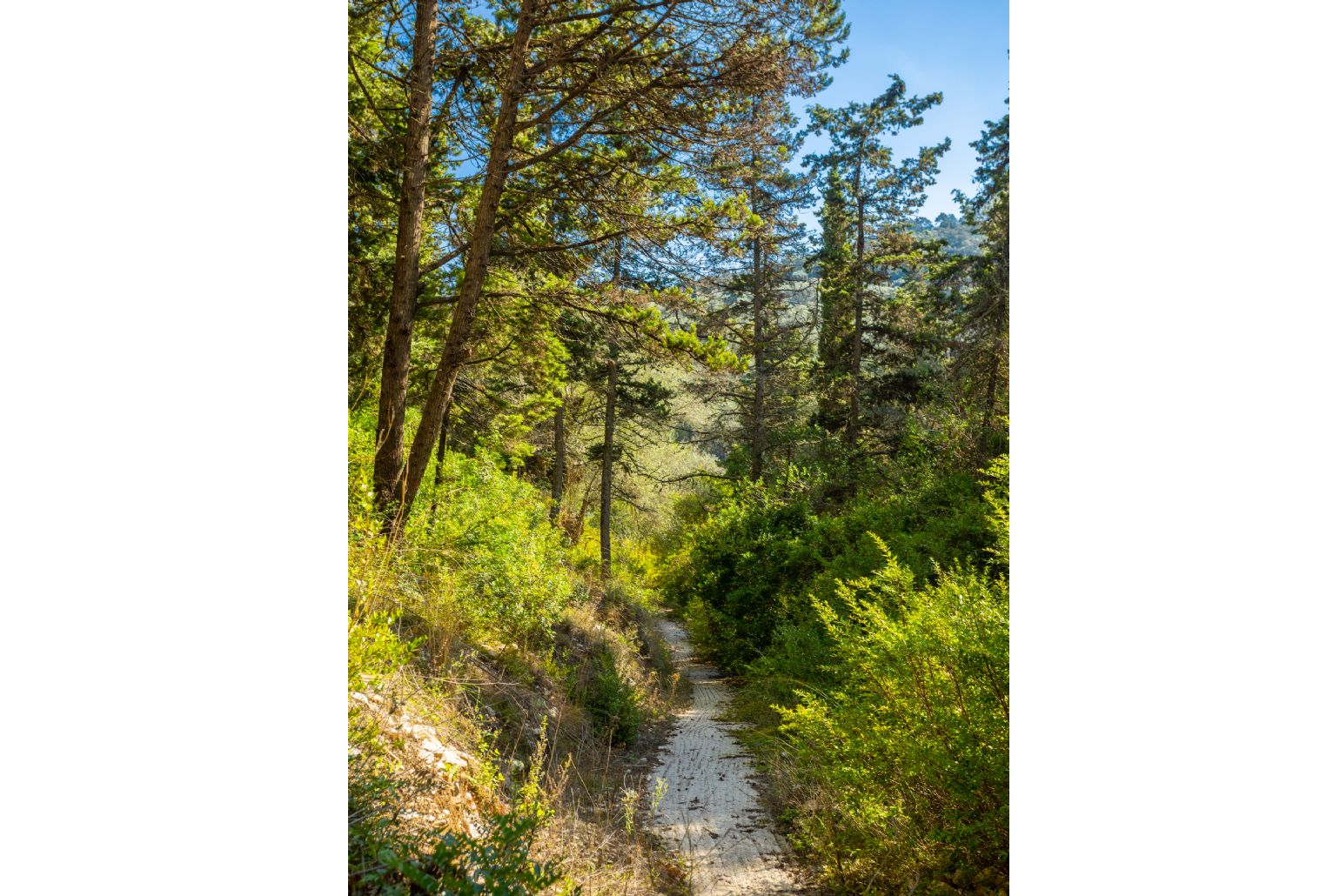 Pathway to Loggos immediately below Villa Alexandros