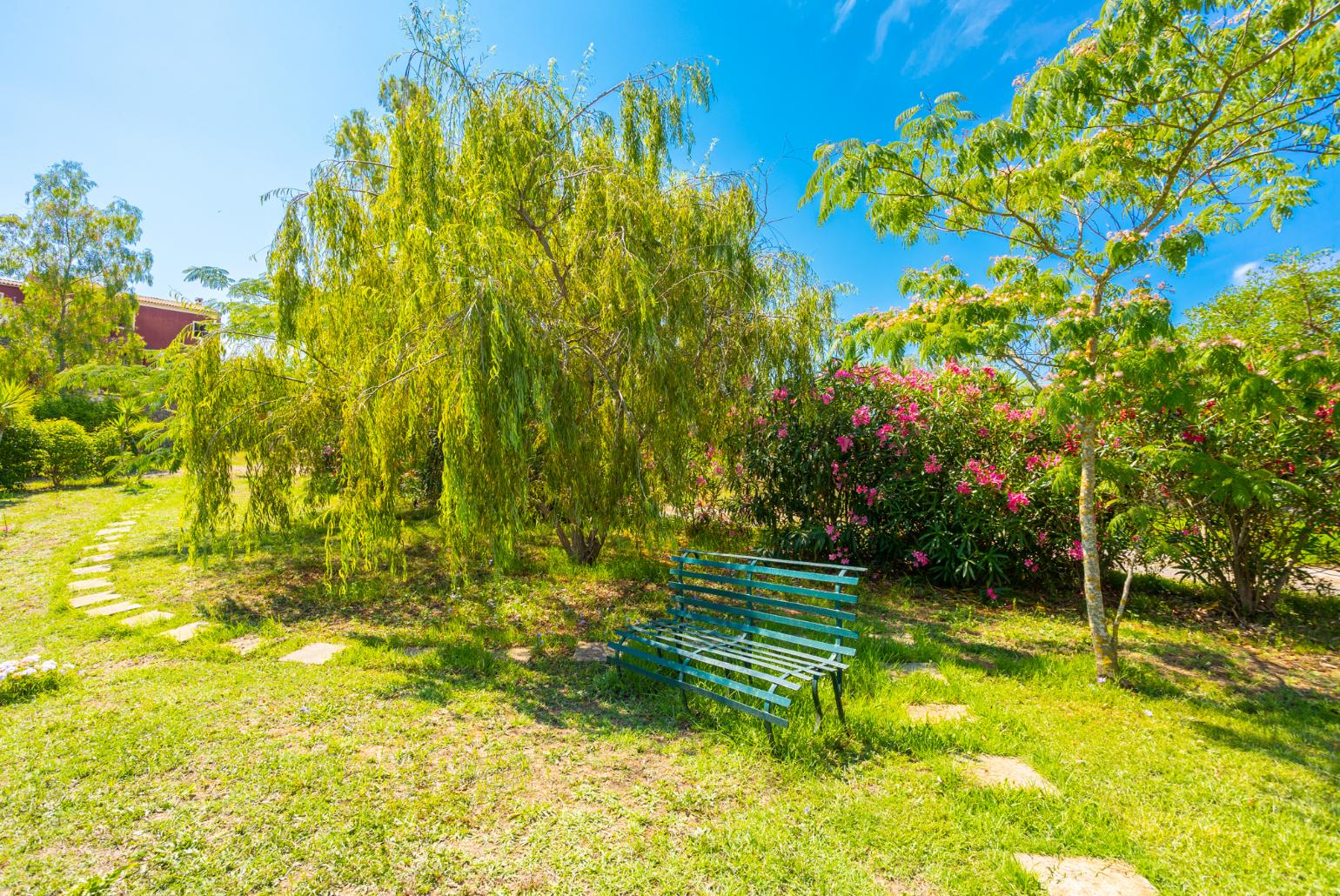 Garden area 