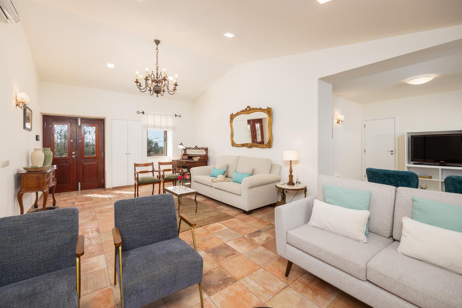 Living room with sofas, ornamental fireplace, A/C, WiFi internet, and satellite TV