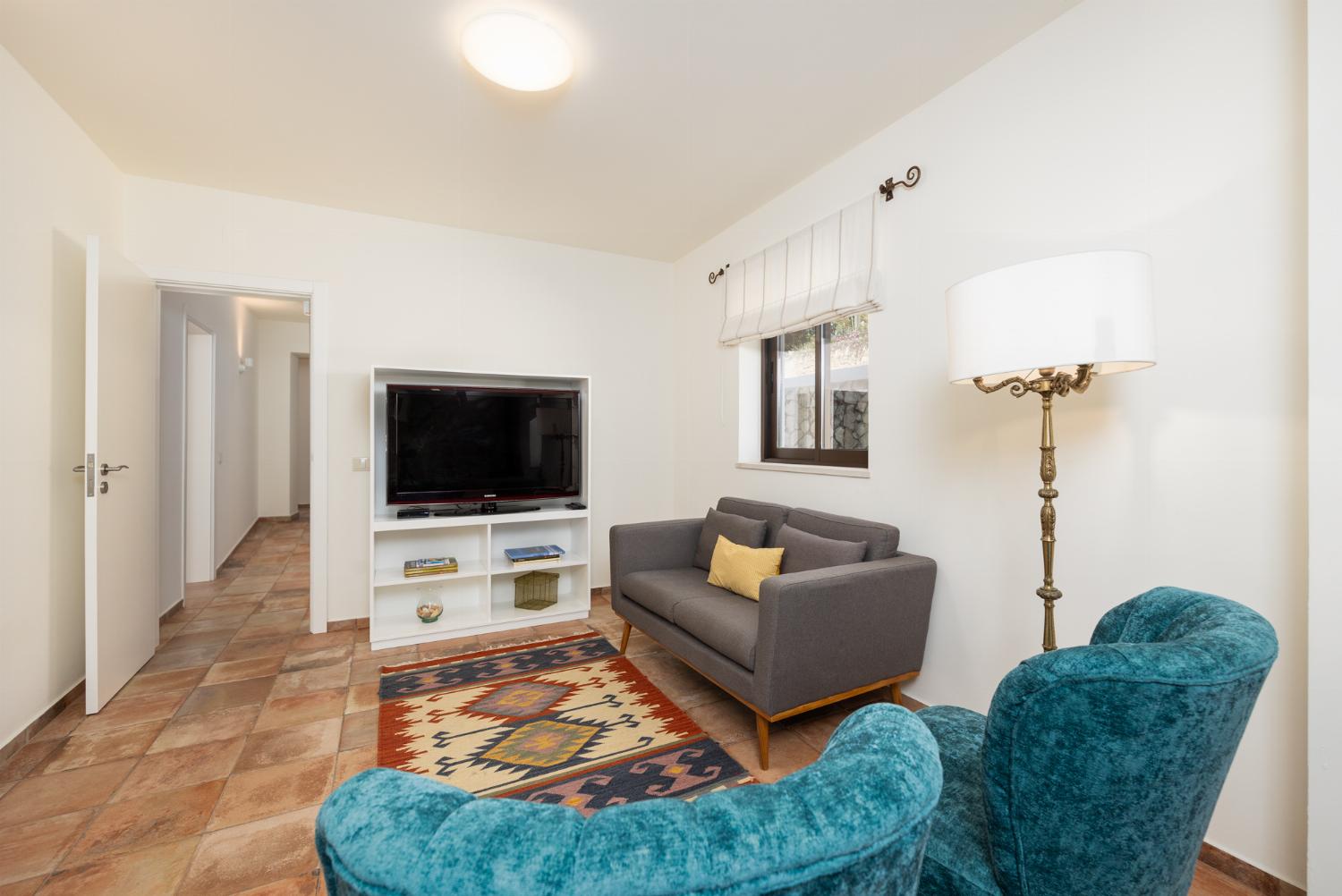 Living room with sofas, ornamental fireplace, A/C, WiFi internet, and satellite TV