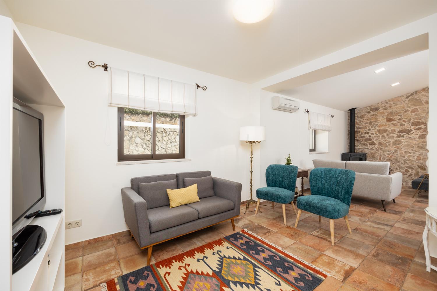 Living room with sofas, ornamental fireplace, A/C, WiFi internet, and satellite TV