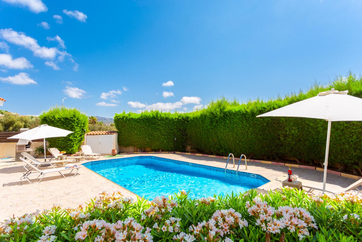 Private pool and terrace