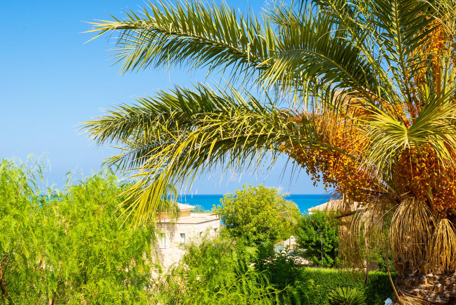 Sea view from upper terrace