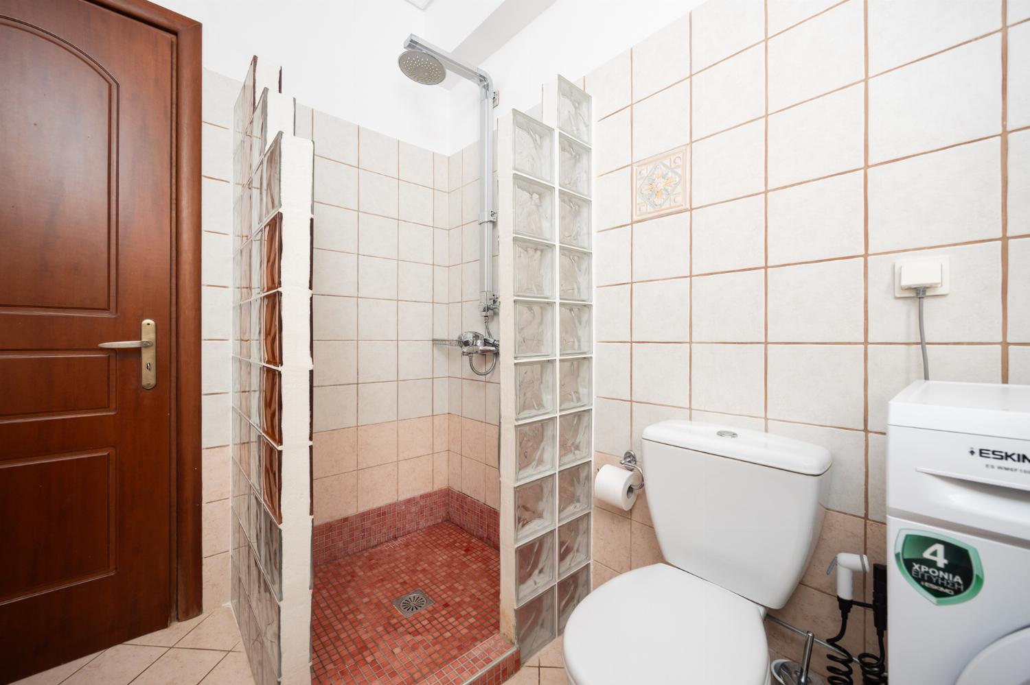 Family bathroom with shower