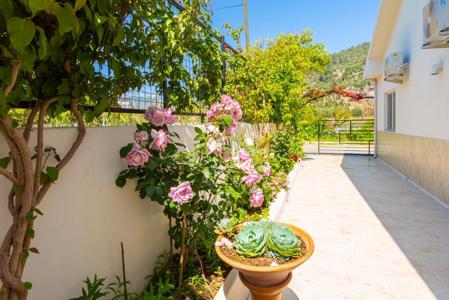 Garden area