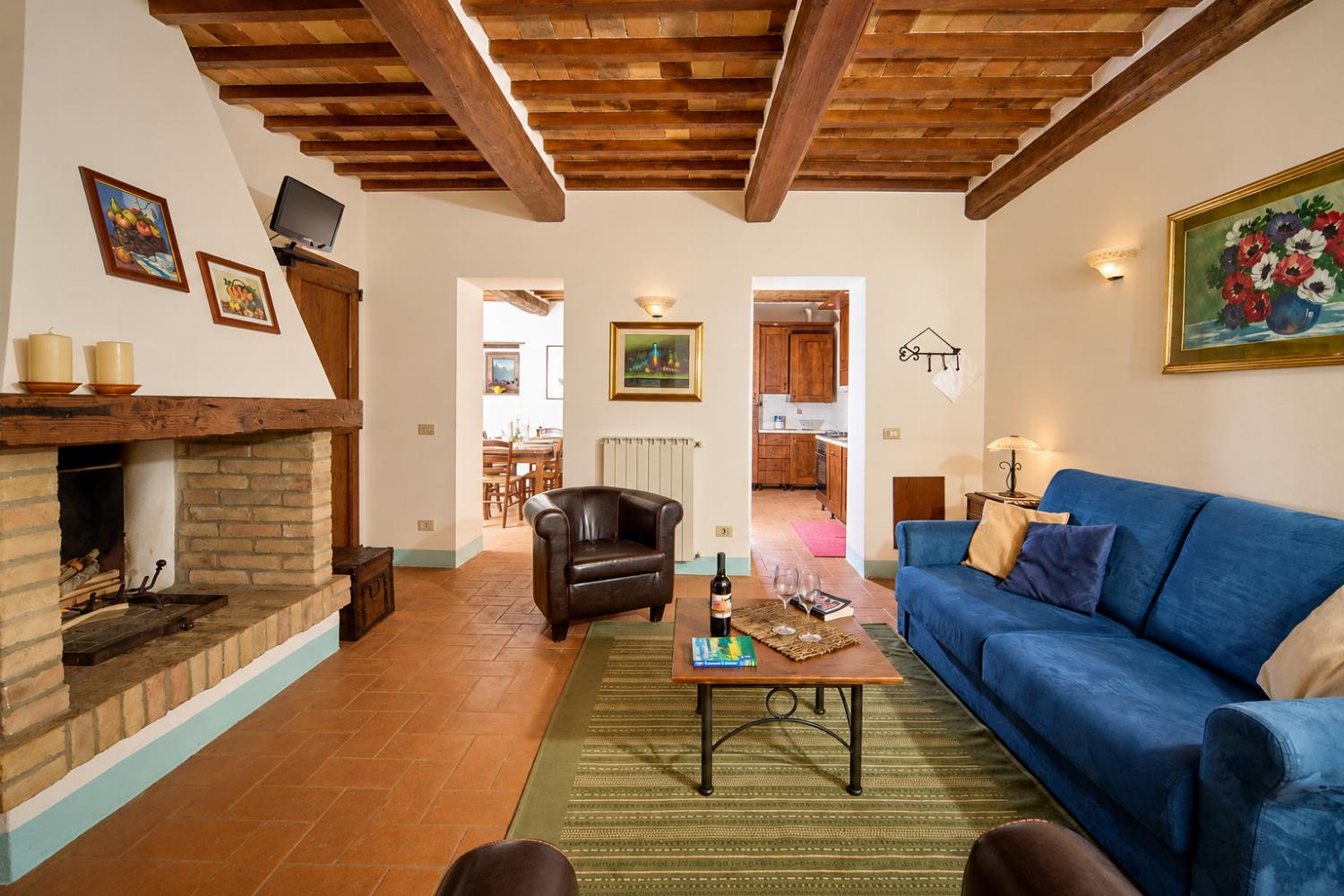 Living room with sofas, ornamental fireplace, WiFi internet, and satellite TV