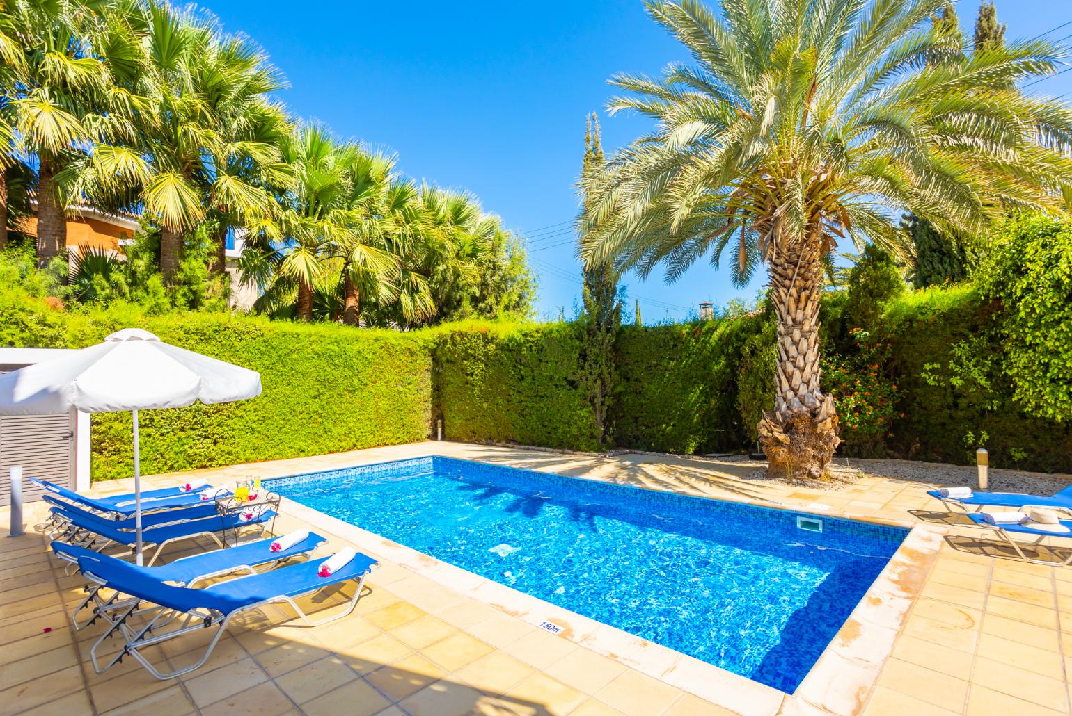 Private pool, terrace, and garden