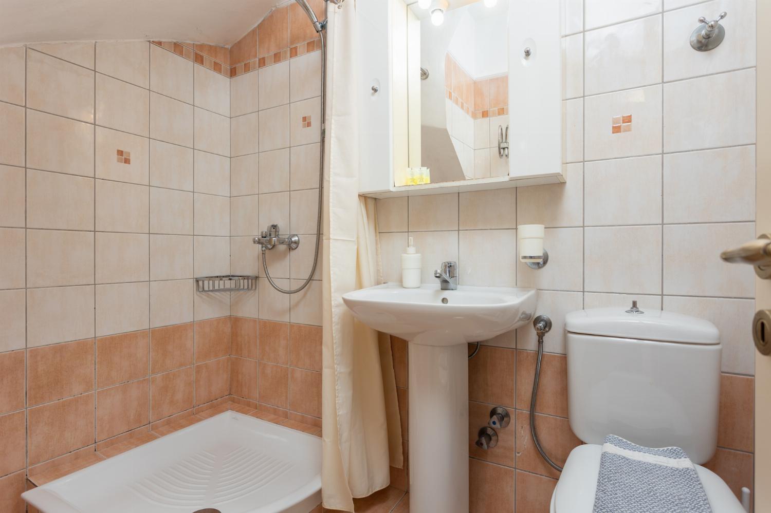 Family bathroom with shower on ground floor